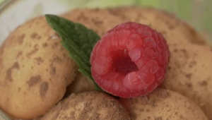 Dezert: Z Nowego Targu