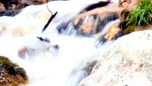 Stratený Andrej (†70) ležal v potoku neďaleko domu, bol mŕtvy