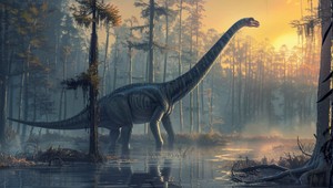 Objavili praveké umenie: Ľudia a dinosaurie stopy na stenách