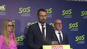 Tlačová beseda strany SaS k téme rozpočtu