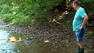 Zdochýnajúcu alebo uhynutú zver neriešte. Treba volať kompetentným