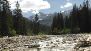 Vysoké Tatry majú prvú oblasť vyhlásenú za vzácne lesné územie