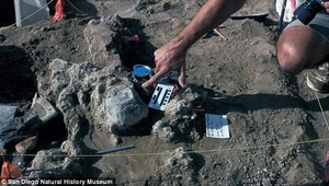 Prepíšu sa učebnice dejepisu?