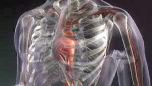 Nie je to infarkt! 8 príčin bolesti na hrudníku, ktoré napodobňujú srdcovú prihodu