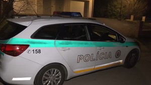 Zlodeji kradli vo fare počas toho, ako farár slúžil omšu