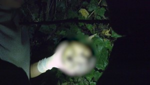 Záhadné kostrové pozostatky našli v kríkoch pri parkovisku. Totožnosť odhalili až testy DNA