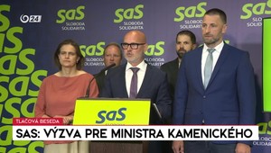 Tlačová beseda strany SaS: Výzva pre ministra Kamenického