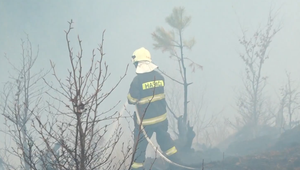 Hasičom sa podarilo uhasiť lesný požiar. Zásah komplikoval nedostupný terén