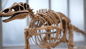 Obrovská beštia: Objavili desivého morského dinosaura