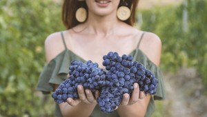 Potrebujete schudnúť? Stavte na hrozno! Spáli tuky a zlepší vám pleť aj vlasy