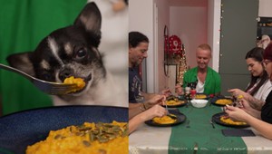 Patrí PES za stôl? Zhnusení konkurenti budú len krútiť hlavami, keď bude JESŤ s hostiteľom!