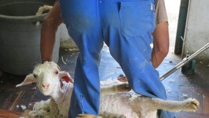 Oblečenie z mohéru už tak ľahko nekúpite. Značky obľúbené aj na Slovensku sťahujú tovar z pultov