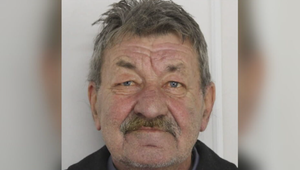 Z prechádzky sa nevrátil: Pátranie komplikuje výskyt medveďov