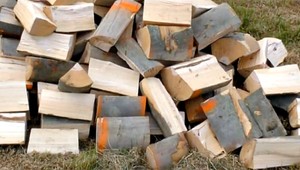 Ladislav sa chcel zahriať, vyrúbal strom za 2 700 eur