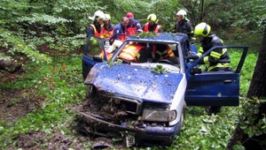 Vodička vyletela z cesty. Stihla si zavolať záchranku, potom upadla do bezvedomia
