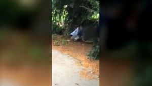 Sex na verejnosti. Muži v žilinskom parku nevedeli prestať