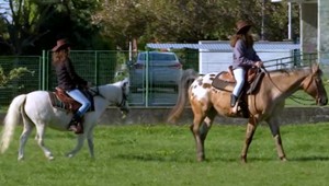 Žiaci si mali priniesť na biológiu domáce zvieratá. Kone nečakali