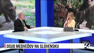Štúdio 24 o osude medveďov na Slovensku