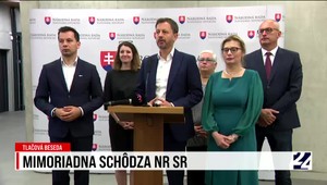 Tlačová beseda strany Demokrati k mimoriadnej schôdzi