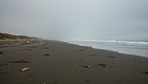 Trojročné dievčatko našli mŕtve na pláži, z vraždy obvinená matka