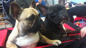 Kam s miláčikmi v lete? Hotel, známi alebo spoločná dovolenka...