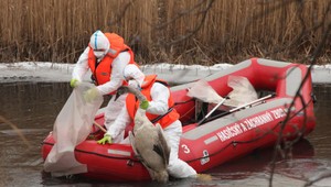 Európou sa šíri nebezpečné ochorenie. Úrad pripravil plán, ako zabrániť novej pandémii