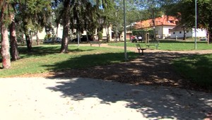 Polícia rieši výrub stromov v Humennom. Odstránili ich vraj neoprávnene