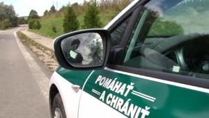 Ona hovorí, že ju manželský pár prešiel autom. Tí sa ale bránia a vinu popierajú