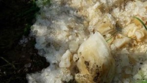 FOTO:  Mysleli si, že na dedinu spadlo UFO, boli to výkaly