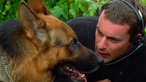 Komisár Rex žije s dvomi milenkami, aj s mamou! Tá mu túto trojku ODOBRILA!