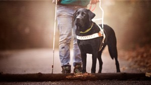 Nevidiaci sa stretávajú s odmietnutím vodiacich psov v prevádzkach