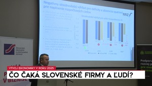Vývoj ekonomiky v roku 2025: Čo čaká slovenské firmy a ľudí?