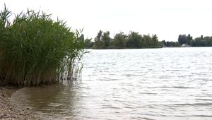 Starosta Vajnor zverejnil výsledky rozboru vody pri nebezpečnej skládke Farná. Majú sa obyvatelia obávať?