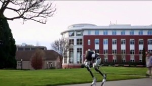 Takto budú vyzerať roboti budúcnosti. Majú len jednu nevýhodu