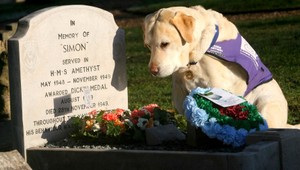 Cintoríny pre zvieratá? V Los Angeles sa dá pochovať aj zlatá rybka