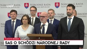Tlačová beseda strany SaS o schôdzi NR SR