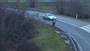 VIDEO: Policajti naháňali pri Piešťanoch kozy