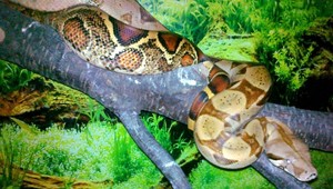 Opäť veľhad na Kysuciach. Teraz medzi panelákmi