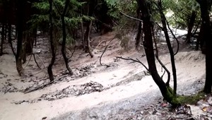 Kaly z obce pri Liptovskom Mikuláši sa rozniesli ďalej. Rozbor vzoriek je stále neznámy