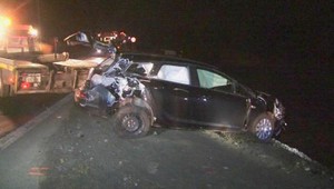 Vodič-hazardér ignoroval závory a vletel priamo pod vlak