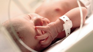 Ruská poslankyňa chce zakázať hniezda záchrany