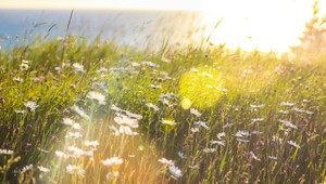 Teploty stúpajú, piatok s tridsiatkami. VIEME, kedy nastane radikálna zmena