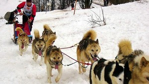 Vrchol sezóny v Zuberci, o tituly majstrov sveta pod Roháčmi