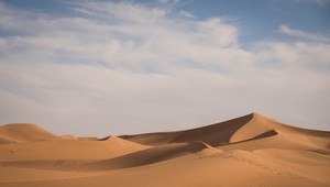 Desivý nález pod pieskom v Egypte: Starý osemdesiat miliónov rokov