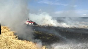 Požiare ničia úrodu obilia tesne pred žatvou. Oheň sa pre silný vietor rýchlo rozšíril na desiatky hektárov