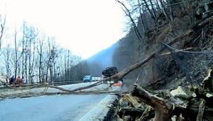 Slovenský paradox: Namiesto podpory solárnych a veterných elektrární, vyklčujeme vlastné lesy