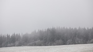 Zdrogovanej matke v lese ušli deti. Jedno z nich našli mŕtve, druhé podchladené