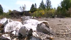 Košický blší trh sa mení na čiernu skládku. Odpad tam ľudia privážajú každý deň