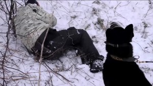 Streľba na hranici so Slovenskom: Ku konfliktu došlo medzi nelegálnym migrantom a políciou