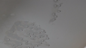 Záhadný jav v obci Žabokreky: V jednom z domov prší voda zo stropu, odborníci len krútia hlavami